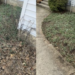 Pat’s Grass & More