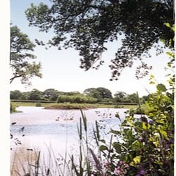 Claremont Farm Shop - Picture from www.claremontfarm.co.uk