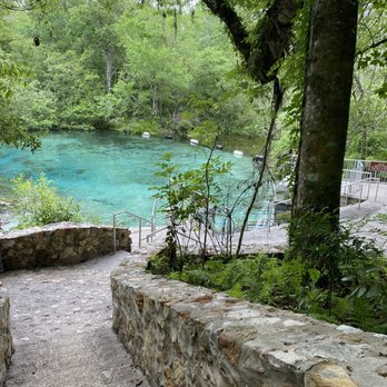 Ginnie Spring - Ichetucknee - Rafting/Kayaking Near Me - High Springs, Florida Ginnie Spring - Ichetucknee - Rafting/Kayaking Near Me - High Springs, Florida