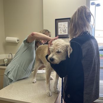 Stroh Ranch Pet Health - Veterinarians Near Me - Parker, Colorado Stroh Ranch Pet Health - Veterinarians Near Me - Parker, Colorado