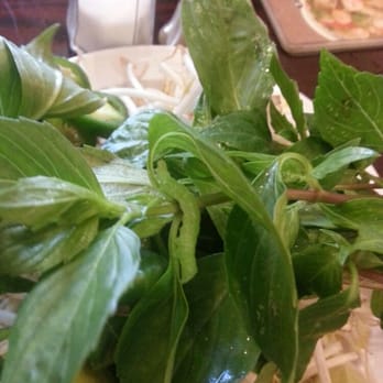 Pho Vinam - Found this in my food, was not even told sorry. - Vietnamese Near Me - Riverside, California Pho Vinam - Found this in my food, was not even told sorry. - Vietnamese Near Me - Riverside, California