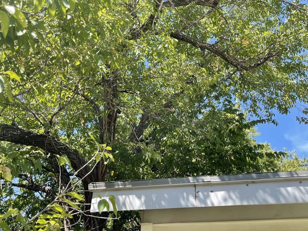 GRAY’S LAWN CARE SERVICE AND HOME REPAIR Updated August 2024 25