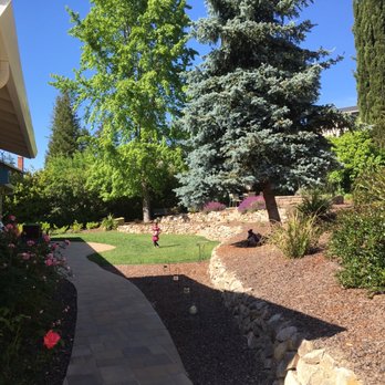 Paddy Kehoe - Compass - Real Estate Agents Near Me - Lafayette, California Paddy Kehoe - Compass - Real Estate Agents Near Me - Lafayette, California