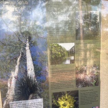 Delaware Scrub Natural Area - Poster - Parks Near Me - Jupiter, Florida Delaware Scrub Natural Area - Poster - Parks Near Me - Jupiter, Florida