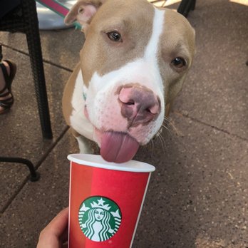 Starbucks - Coffee & Tea Near Me - Land O' Lakes, Florida Starbucks - Coffee & Tea Near Me - Land O' Lakes, Florida