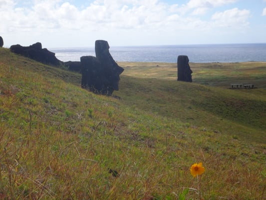 Rano Raraku by null