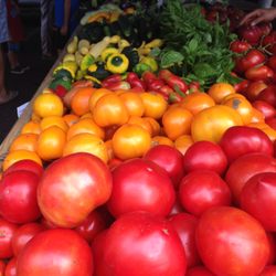 Lorton Farmers Market - Fresh Tomatoes!