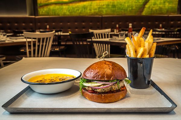 FARM TO BURGER by null