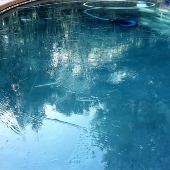 Dino's Pool Service - Frozen pool,Jan 14 2013 fair oaks ca - Pool Cleaners Near Me Dino's Pool Service - Frozen pool,Jan 14 2013 fair oaks ca - Pool Cleaners Near Me