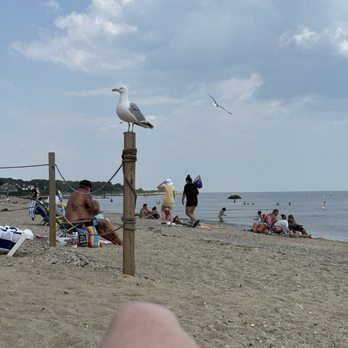 Kokomo's Restaurant - Our friendly neighbors ! - Seafood Near Me - Old Lyme, Connecticut Kokomo's Restaurant - Our friendly neighbors ! - Seafood Near Me - Old Lyme, Connecticut