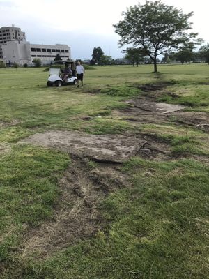 GROVER CLEVELAND GOLF COURSE - 10 Reviews - 3781 Main St, Buffalo, New