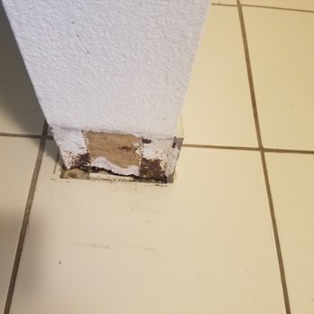 Days Inn by Wyndham Salisbury - Is that black mold? - Hotels Near Me - Salisbury, Maryland Days Inn by Wyndham Salisbury - Is that black mold? - Hotels Near Me - Salisbury, Maryland