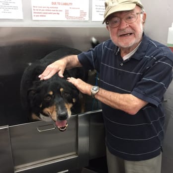 Spike and Chester's Scrub Tub - Pet Groomers Near Me - Tucson, Arizona