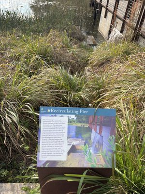 Memorial Park by null