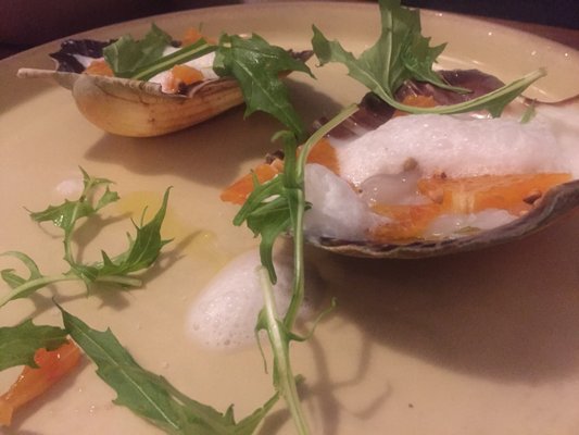 Comptoir Sur Mer by null