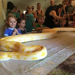 Radical Reptile Fun - Worth the extra $$ for the Burmese Python