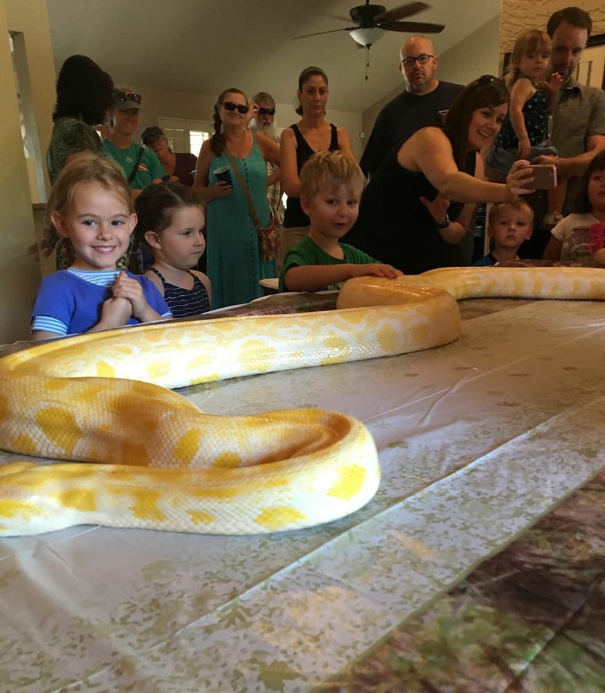 RADICAL REPTILE FUN - Updated July 2025 - 26 Photos & 24 Reviews - 4695