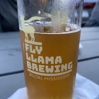Fly Llama - a pint of beer on a napkin - Breweries Near Me - Biloxi, Mississippi