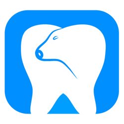 White Bear Lake Endodontics