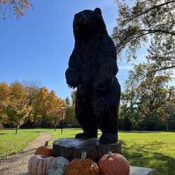 Rudy the bear