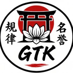 GTK Academy of Martial Arts - Honor, respect and discipline