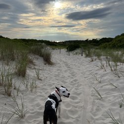 Island Beach State Park