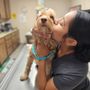 Photo of Sugarloaf Animal Clinic