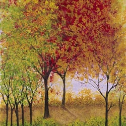 Flo Markowitz