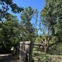 Photo of Wichita Tree Service