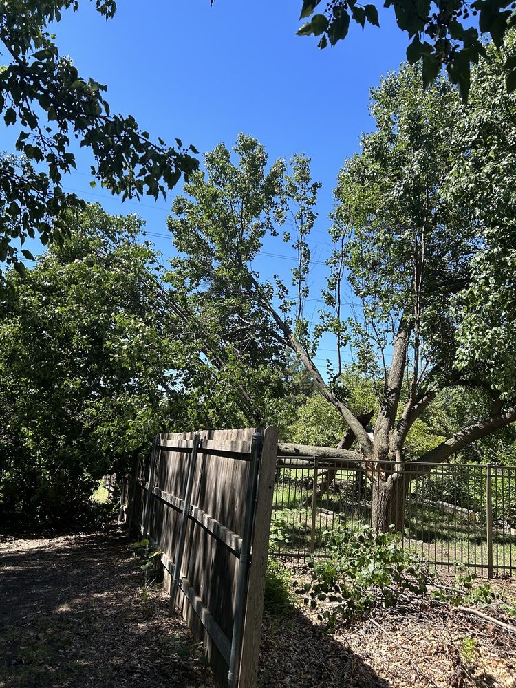 Wichita Tree Service - tree service in Wichita, KS