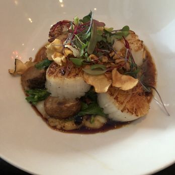 Rococo Steak - St. George's Sea Scallops - Steakhouses Near Me - St. Petersburg, Florida Rococo Steak - St. George's Sea Scallops - Steakhouses Near Me - St. Petersburg, Florida