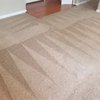Littleton's Floor and Carpet Cleaning gift card