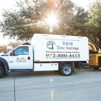 B&M Tree Service - Tree Services Near Me - Colleyville, Texas B&M Tree Service - Tree Services Near Me - Colleyville, Texas