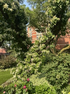 Pier 45 at Hudson River Park by null
