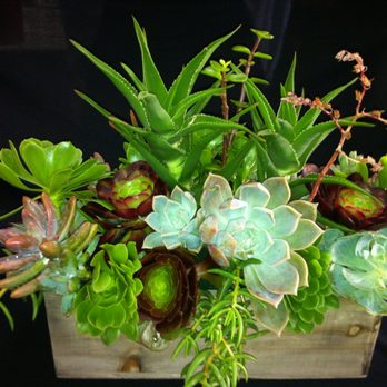Lyal Nickals - Florists Near Me - Castro Valley, California Lyal Nickals - Florists Near Me - Castro Valley, California