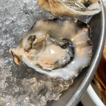 O Sea - Kumomoto oyster - Seafood Near Me - Orange, California O Sea - Kumomoto oyster - Seafood Near Me - Orange, California