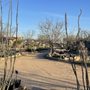 Photo of Cactus Town