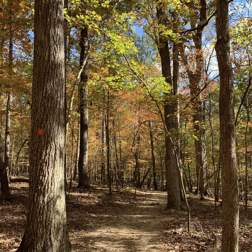 William B Umstead State Park - Hiking Near Me - Raleigh, North Carolina William B Umstead State Park - Hiking Near Me - Raleigh, North Carolina