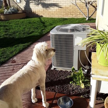 Dogs Etc - Pet Groomers Near Me - Newhall, California