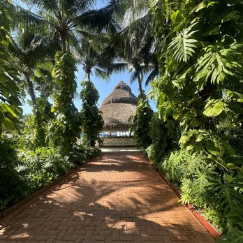 Lasting Expeditions Travel - All inclusive beach experience. - Travel Agents Near Me Lasting Expeditions Travel - All inclusive beach experience. - Travel Agents Near Me