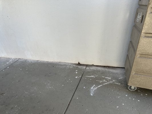 Serene Vegas Boutique Hotel by null