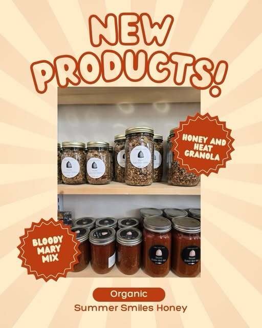 Jar The Zero Waste Store & Refillery Logo