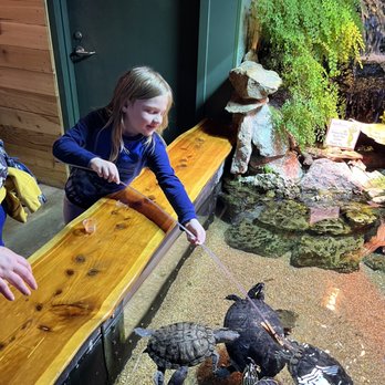Oklahoma Aquarium - Feeding the turtles - Aquariums Near Me - Jenks, Oklahoma
