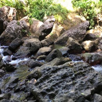 El Yunque Rainforest - Beautiful - Hiking Near Me - Luquillo, Puerto Rico