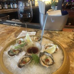 The oyster special of the night it was excellent The oyster special of the night it was excellent