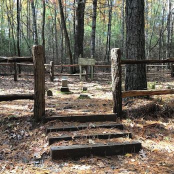 DuPont State Forest - Hiking Near Me - Cedar Mountain, North Carolina