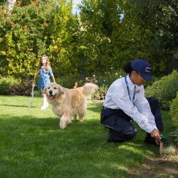 Clark Pest Control - Pest Control Near Me - Stockton, California