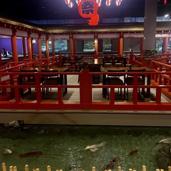Saitos's Japanese Steakhouse - Koi pond inside restaurant - Japanese Near Me - Dania Beach, Florida Saitos's Japanese Steakhouse - Koi pond inside restaurant - Japanese Near Me - Dania Beach, Florida
