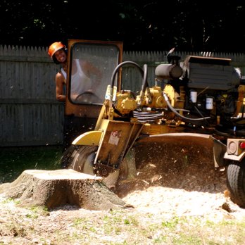 Joe Marra Tree Service - Tree Services Near Me - Butler, New Jersey Joe Marra Tree Service - Tree Services Near Me - Butler, New Jersey