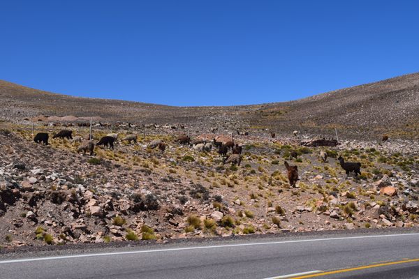Quebrada de Humahuaca by null